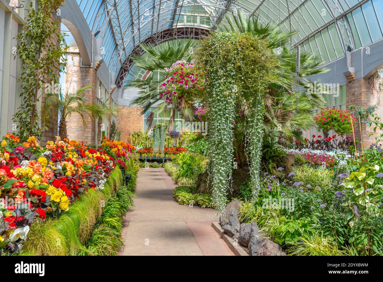 Auckland Domain Wintergardens In New Zealand Stock Photo - Alamy