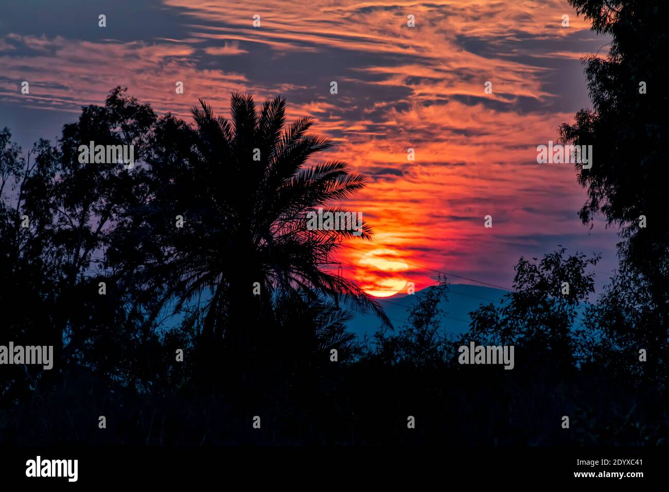 Scenic sunset in the sky with clouds and silhouettes of palm trees in the foreground Stock Photo