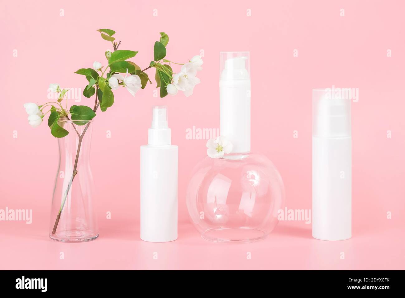 Set of cosmetic for skin care face, body. White blank cosmetics bottles and tube on glass podium and flowering branch in vase, pink background. Natura Stock Photo