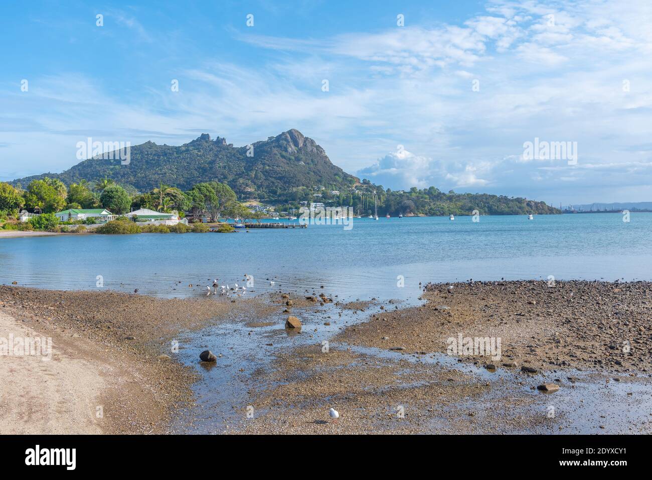 Landscape of Whangarei Heads in New Zealand Stock Photo Alamy