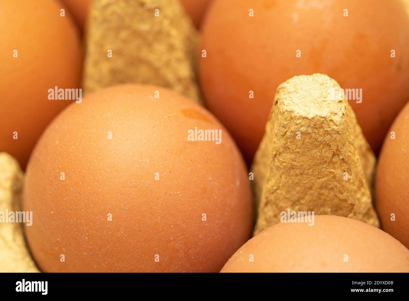 few yellow eggs in a tray close up Stock Photo