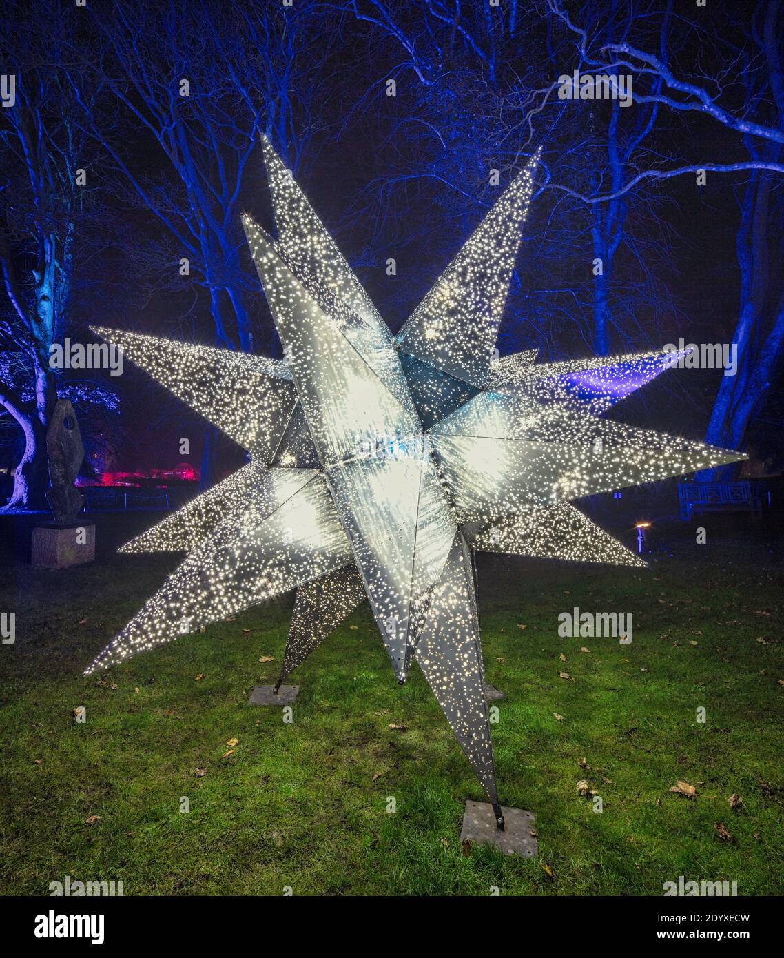 Christmas lights at The Alnwick Garden, Alnwick, Northumberland