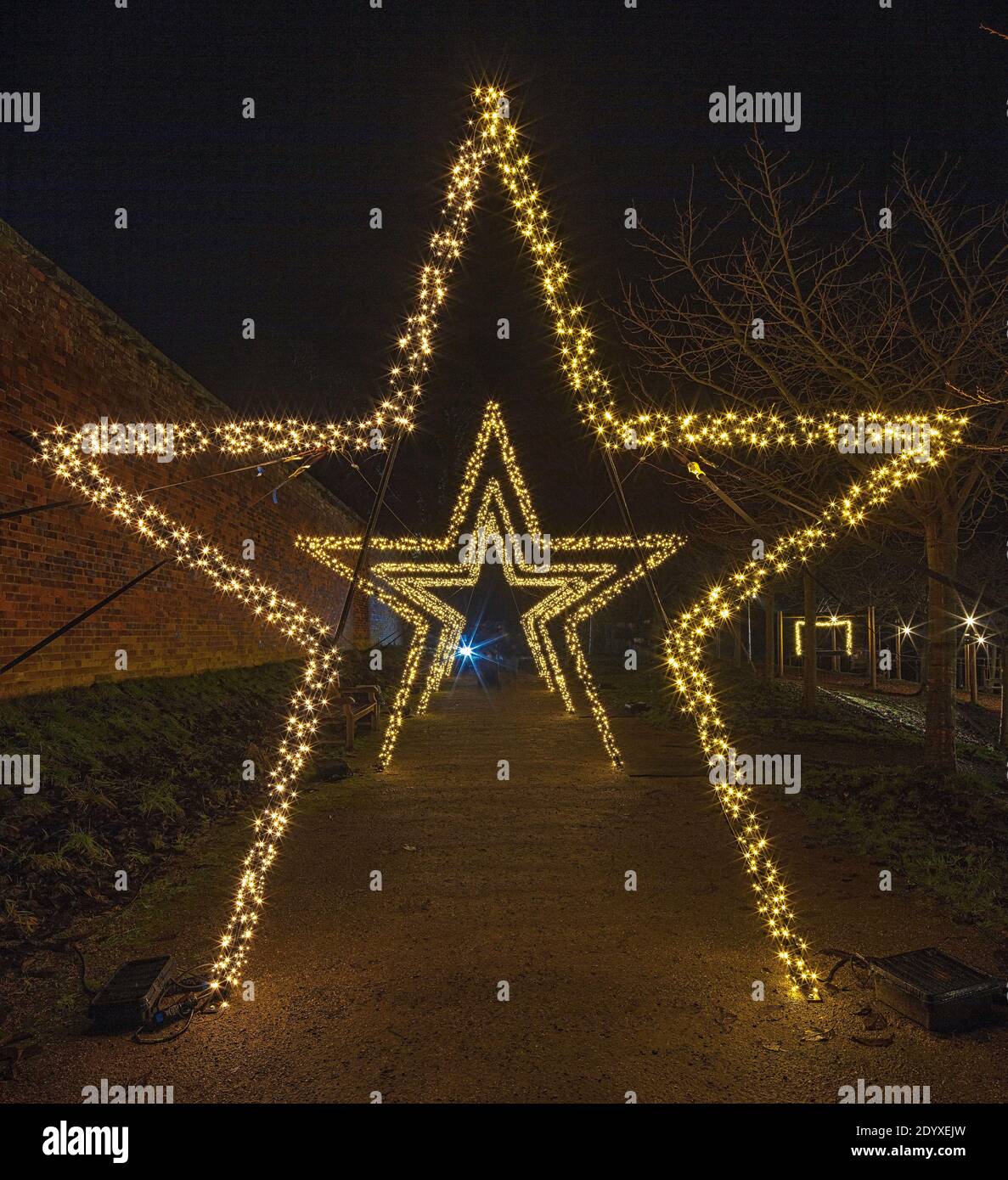 Christmas lights at The Alnwick Garden, Alnwick, Northumberland