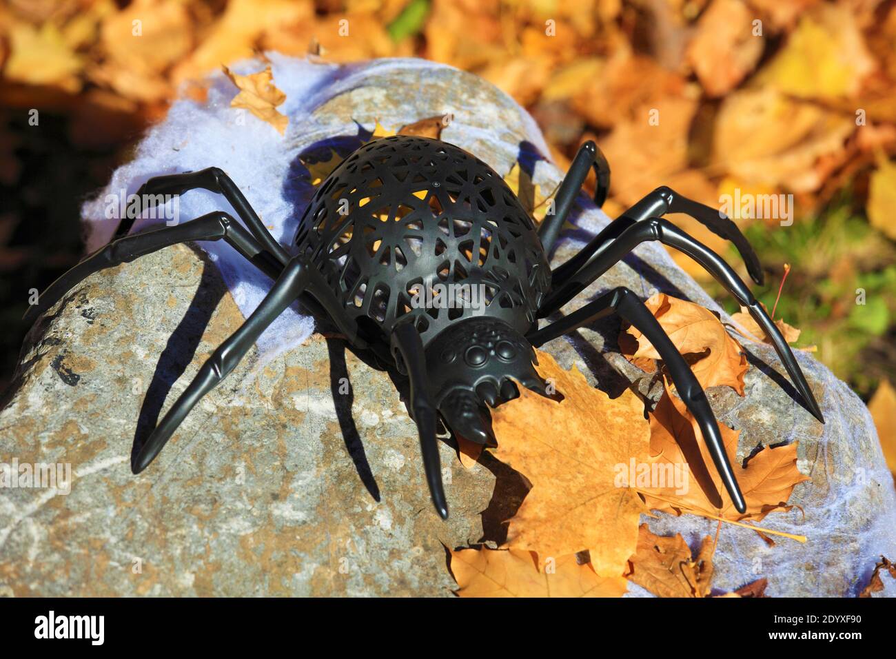 Spider, Halloween, decoration, Stock Photo