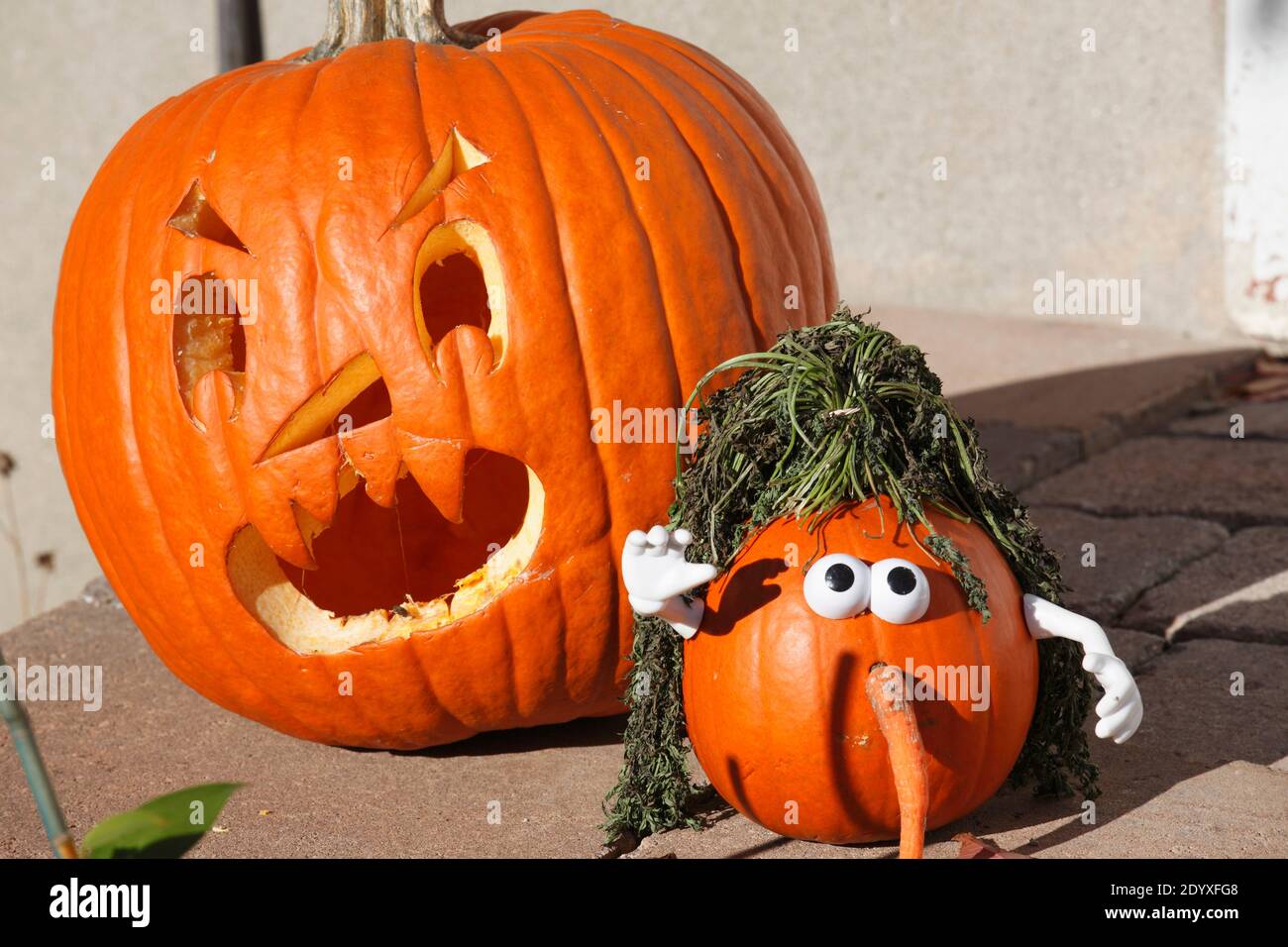 Halloween, decoration, pumpkins, Stock Photo