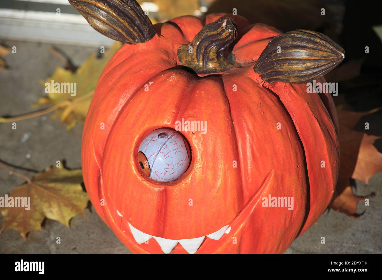 Halloween, decoration, pumpkin, Stock Photo
