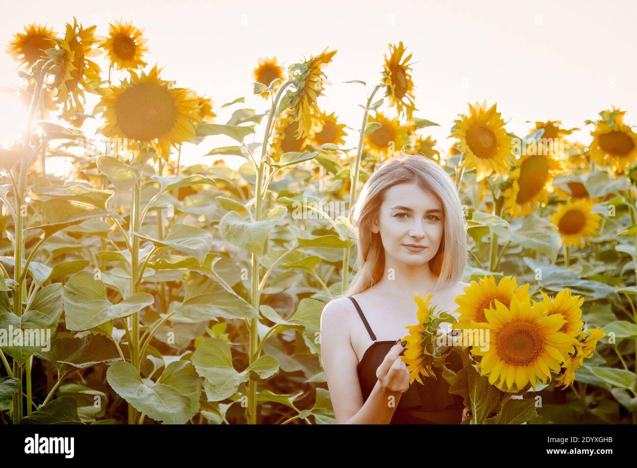 beautiful young girl in sunflowers happy smiling Stock Photo - Alamy