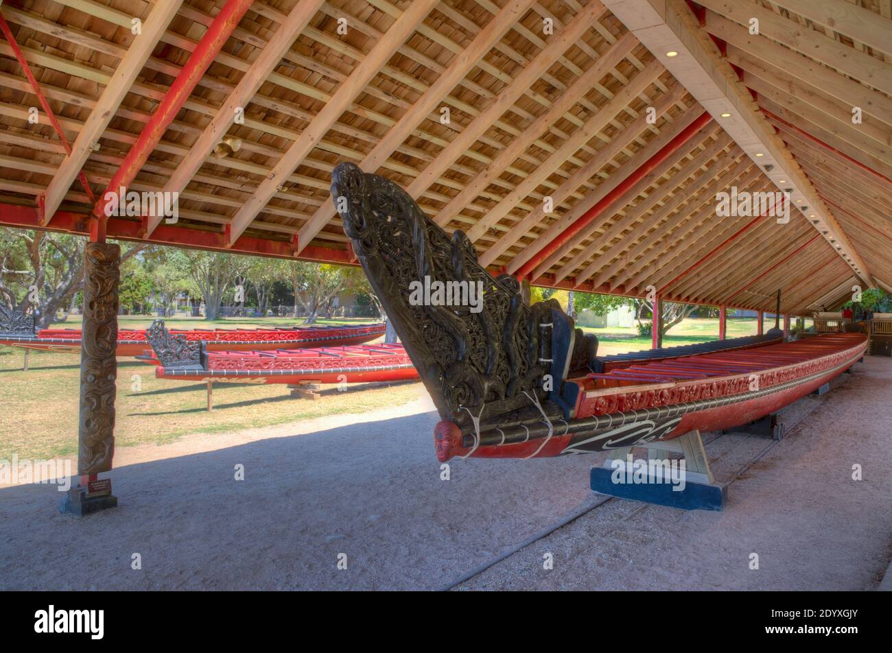 Maori war canoe at Waitangi treaty grounds in New Zealand Stock Photo