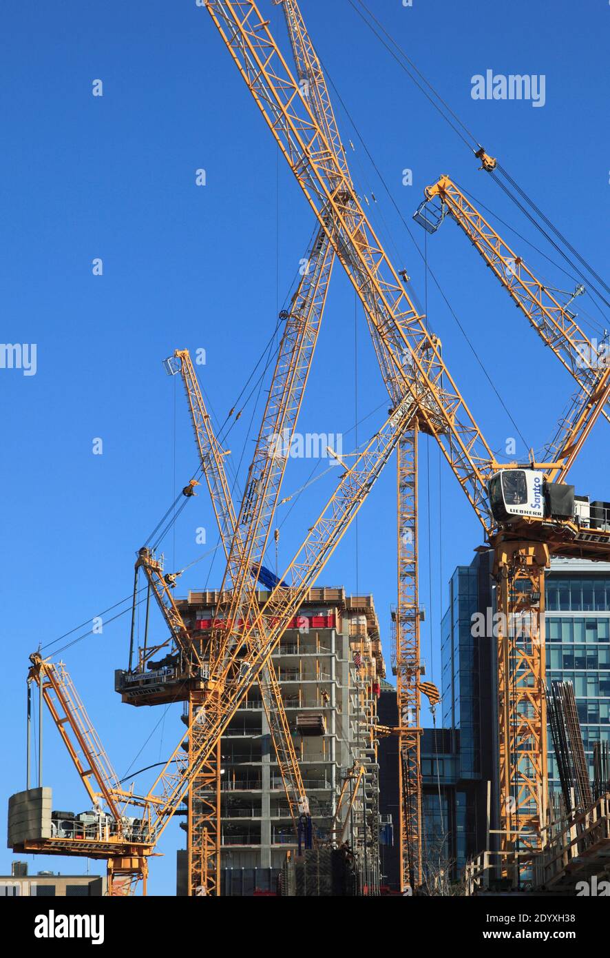 Canada Cranes High Resolution Stock Photography and Images - Alamy