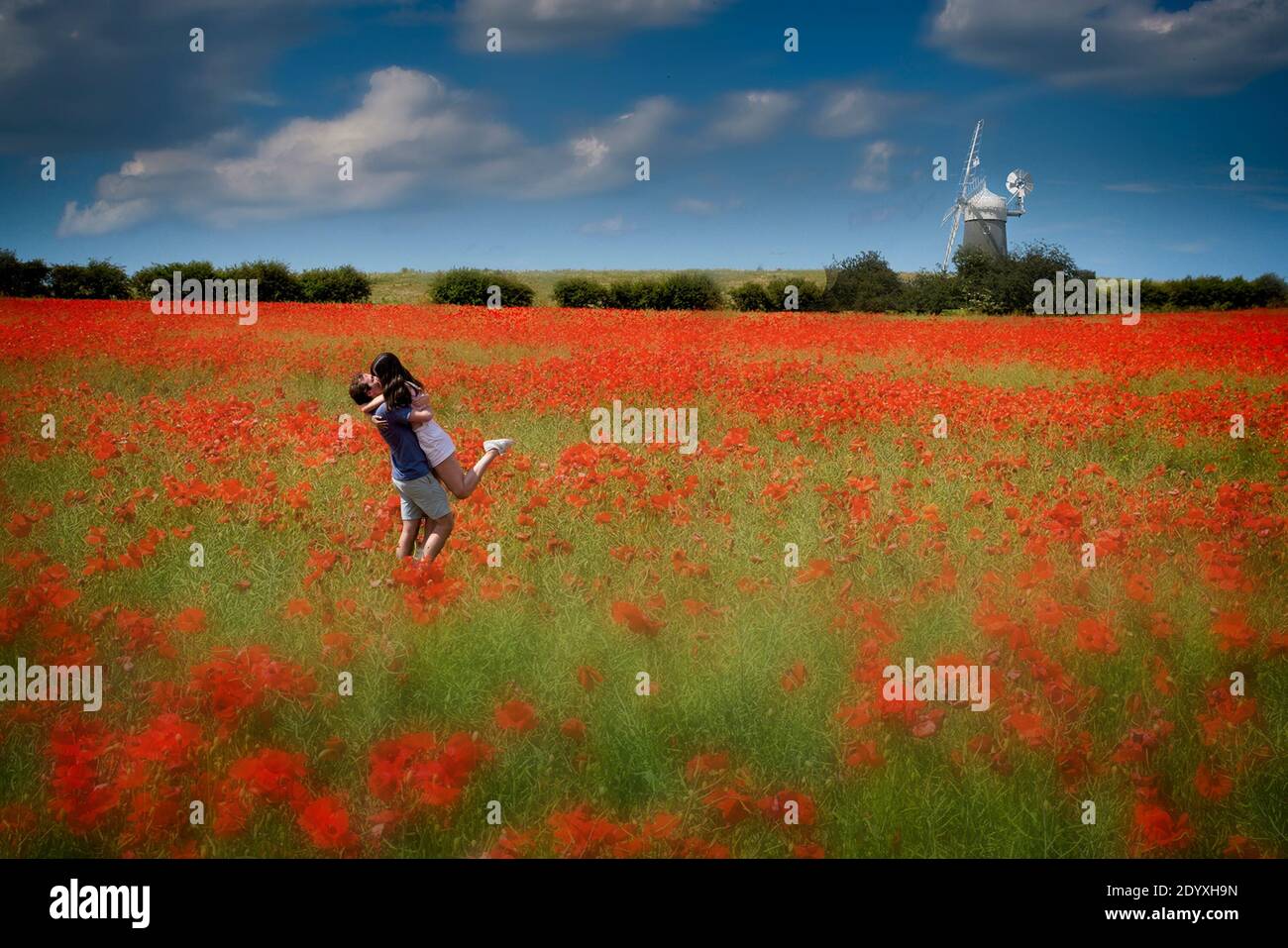Red diffused poppies in field with hedgerow in distance. Windmill on skyline with blue sky and fluffy white clouds. Couple embracing among the flowers. Stock Photo