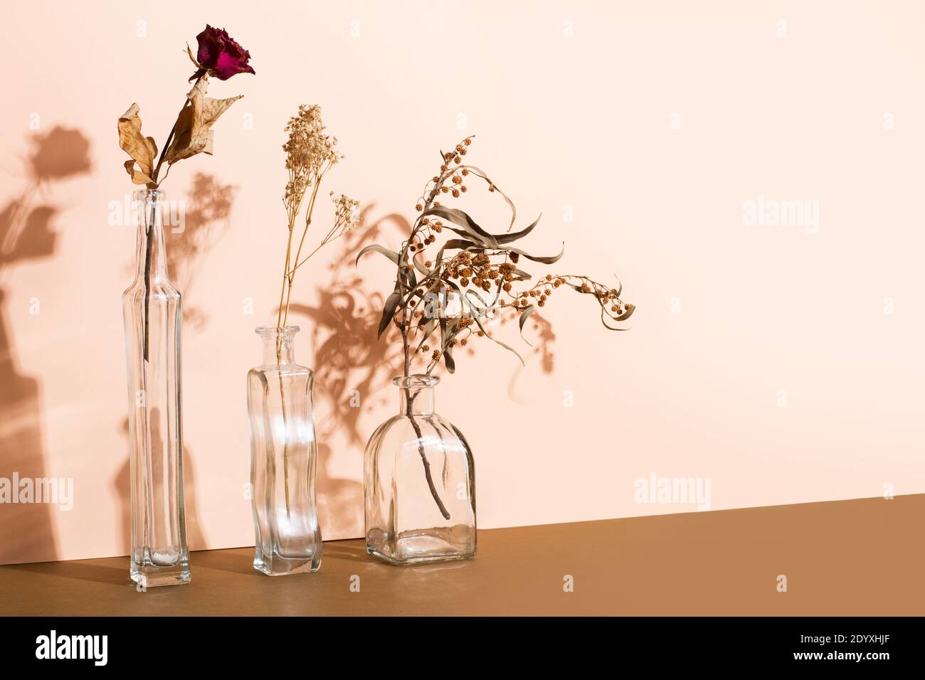Dry flowers and branches in crystal jars on a pink background Stock Photo