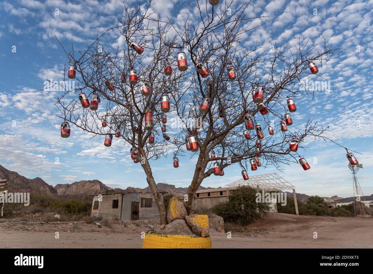 Tree decorated with beer cans for Christmas. Stock Photo