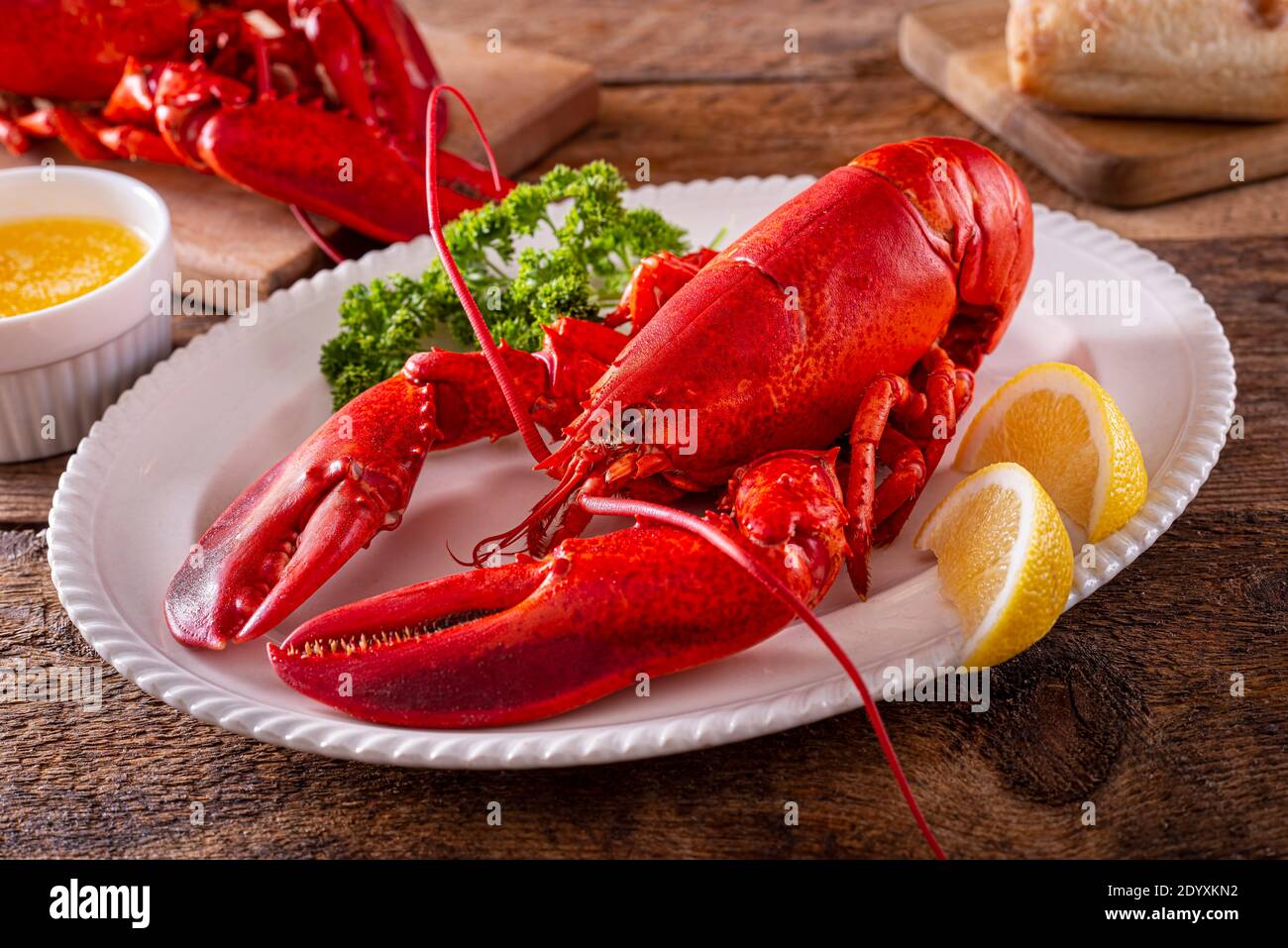 Fresh cooked American lobster on a plate with lemon and parsley,. Stock Photo