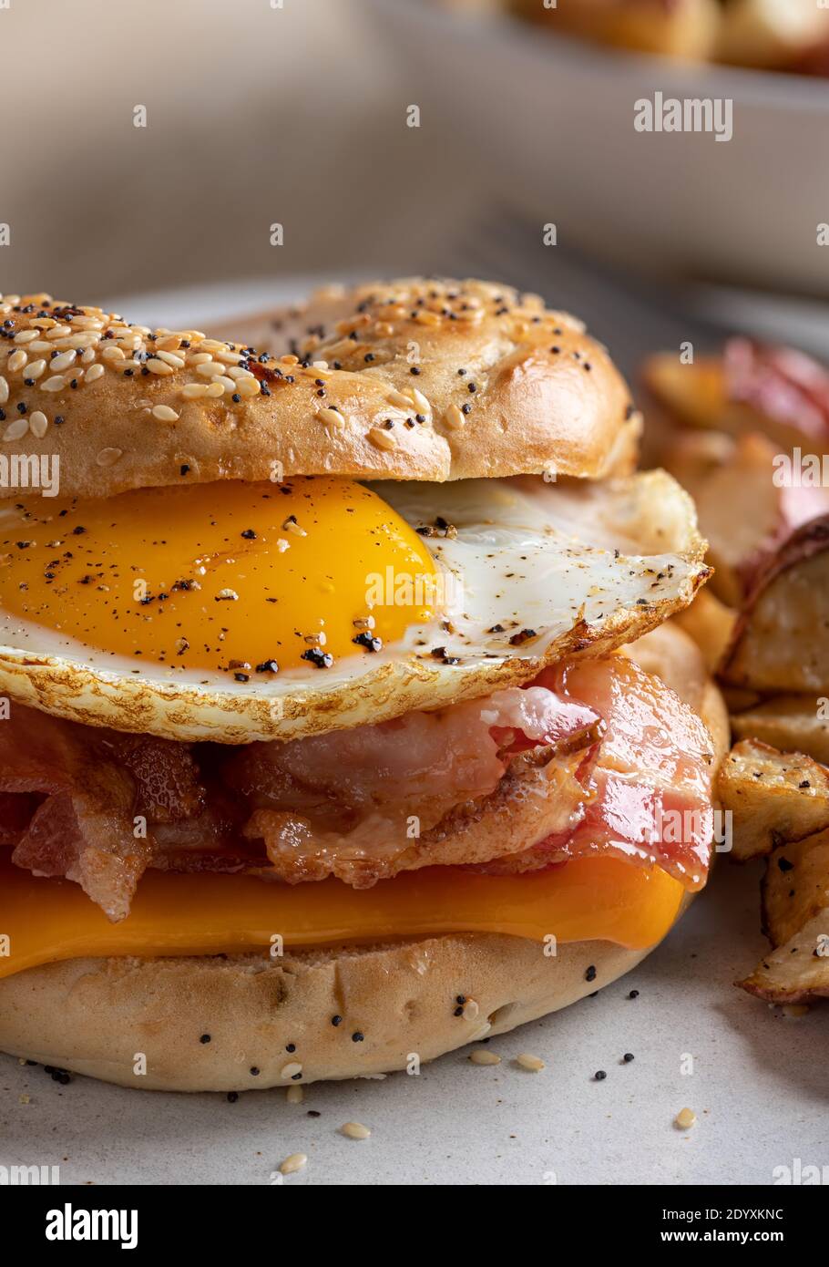 Bacon egg and cheese on a bagel hi-res stock photography and images - Alamy
