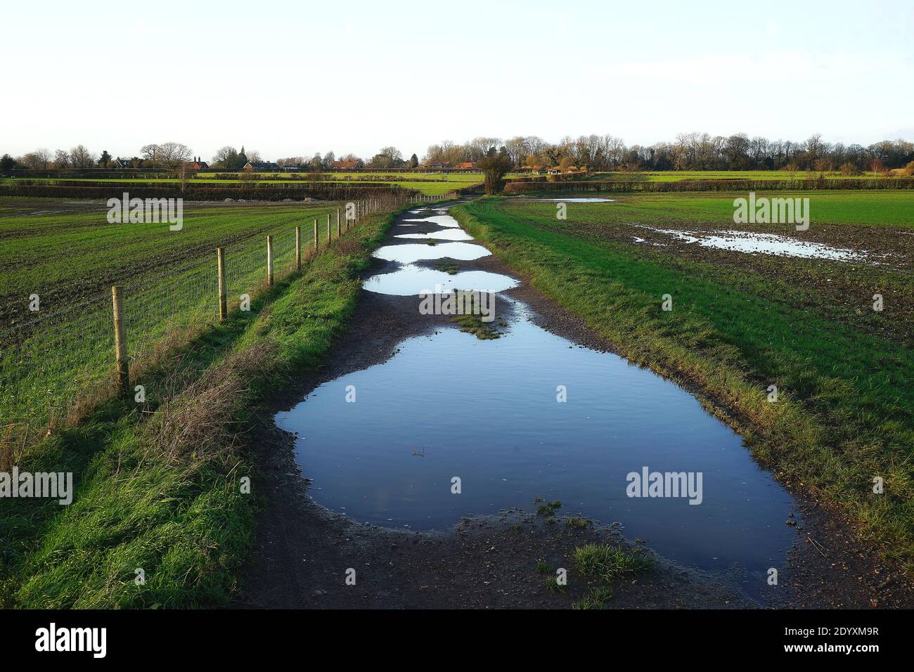 Puddle strewn farm track heading to Great Offley Stock Photo