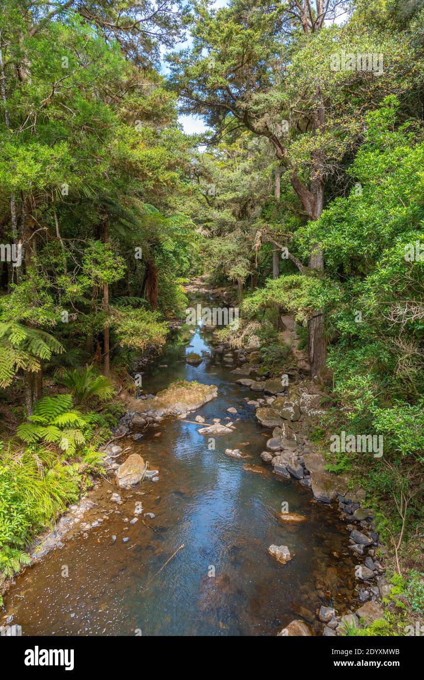 Hatea river near Whangarei falls at New Zealand Stock Photo