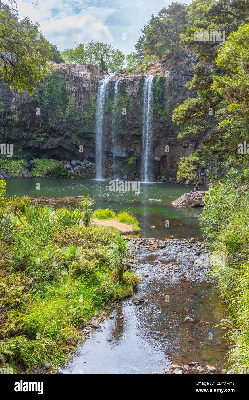 Whangarei falls at New Zealand Stock Photo
