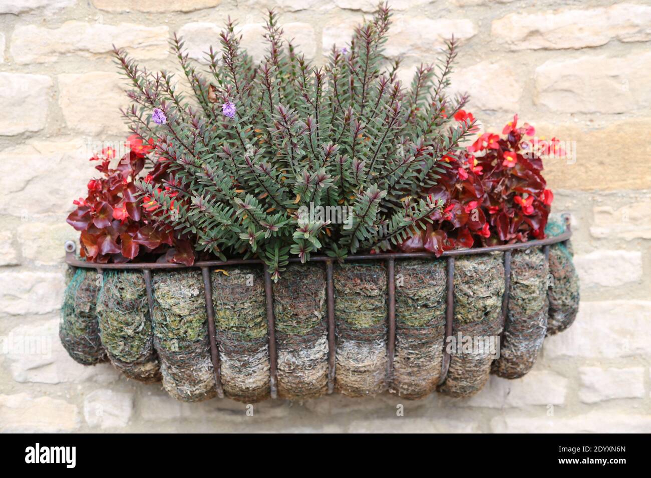 A range of potted garden plants and window boxes. Stock Photo