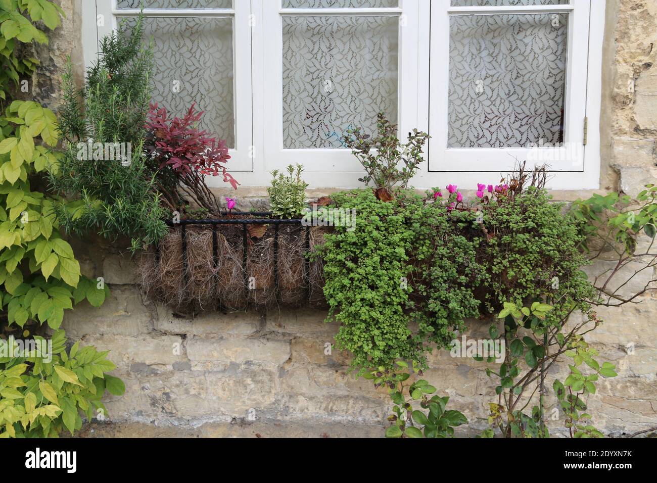 Bay Window Cottage High Resolution Stock Photography And Images Alamy