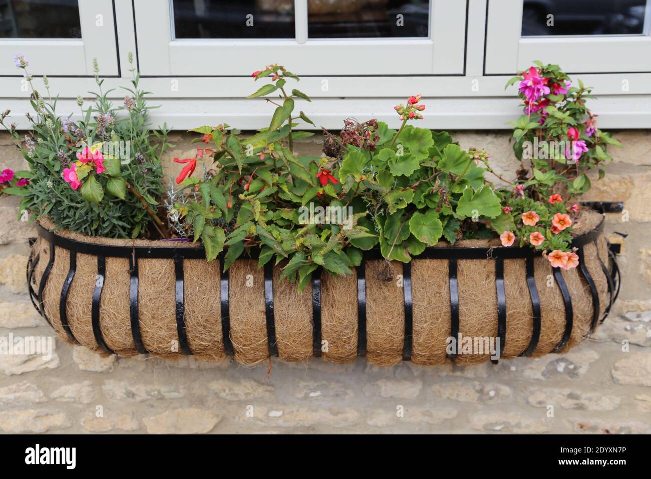 A range of potted garden plants and window boxes Stock Photo Alamy