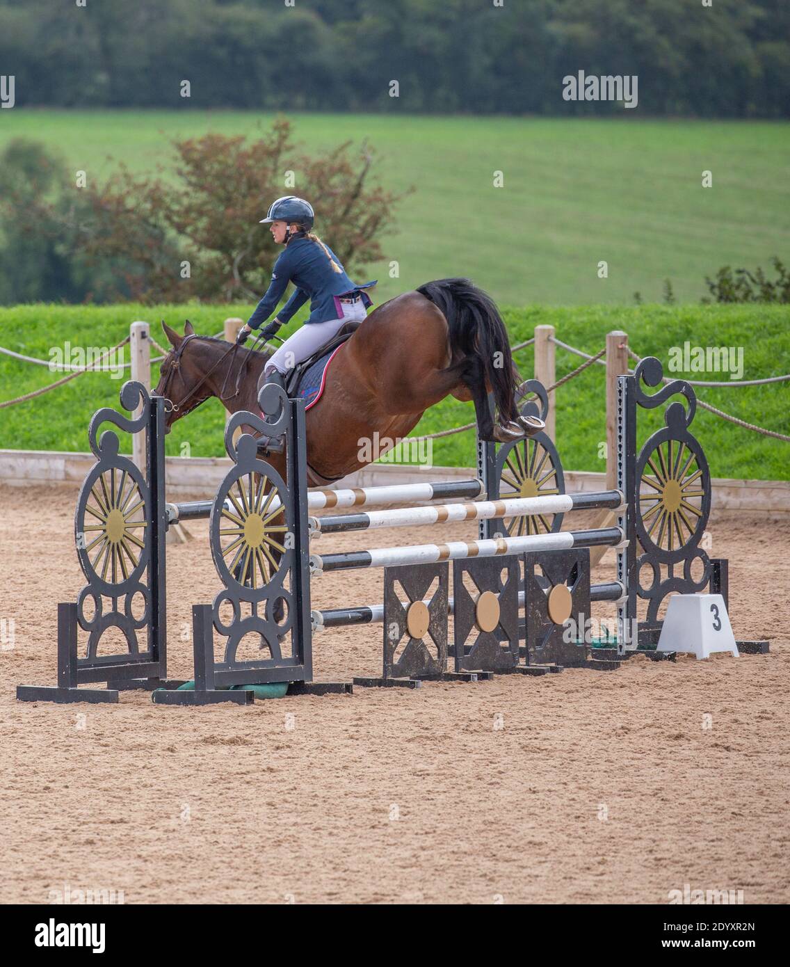 An equestrian rider on their horse jumping over a fence as they take