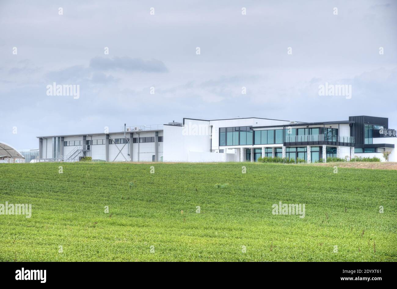 Hamilton tea estate new zealand hires stock photography and images Alamy