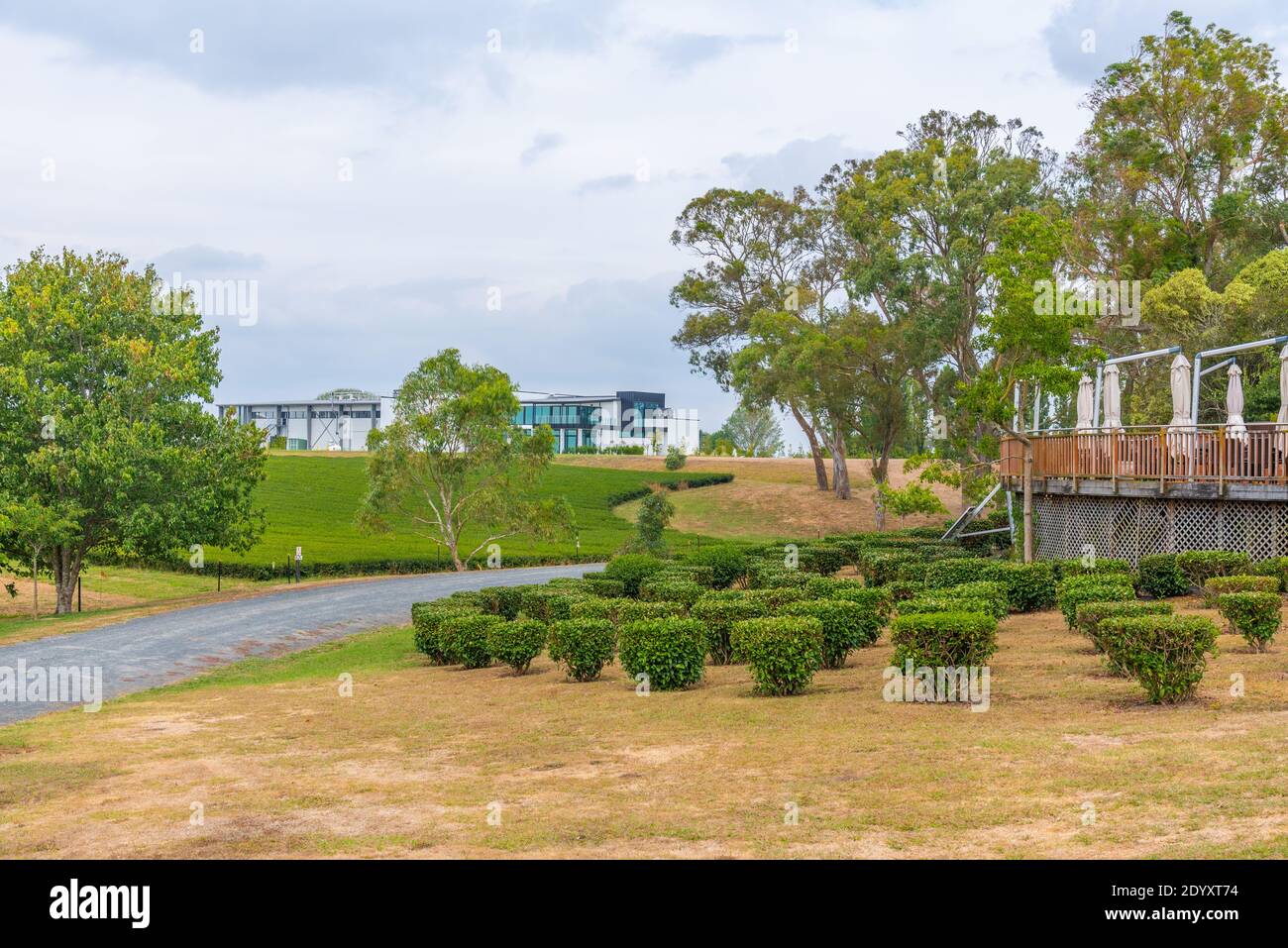 Hamilton tea estate new zealand hires stock photography and images Alamy