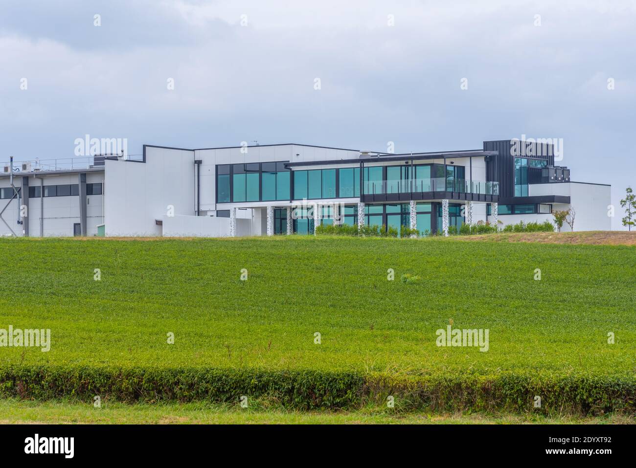 Hamilton tea estate new zealand hires stock photography and images Alamy