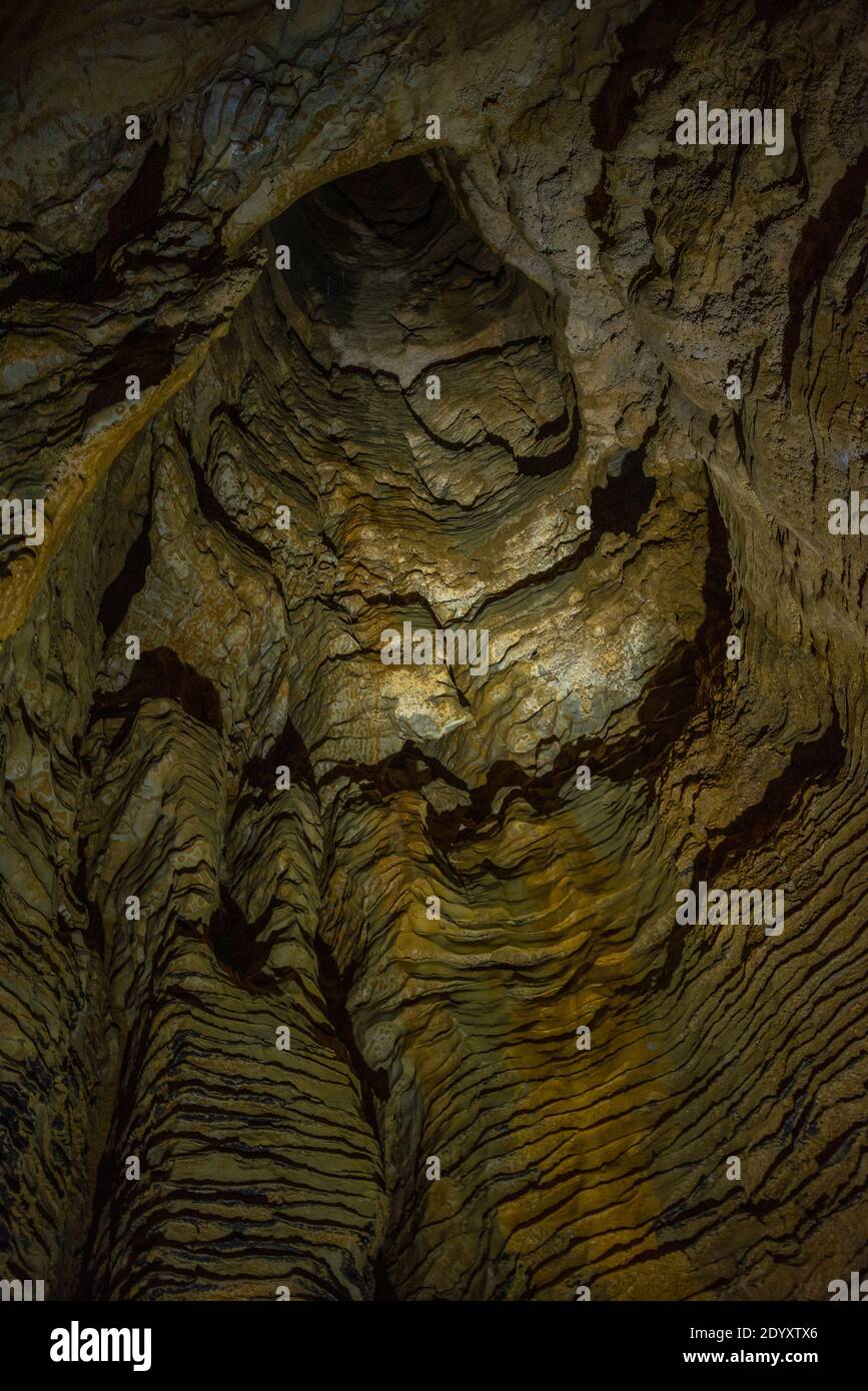 Ruakuri cave in New Zealand Stock Photo
