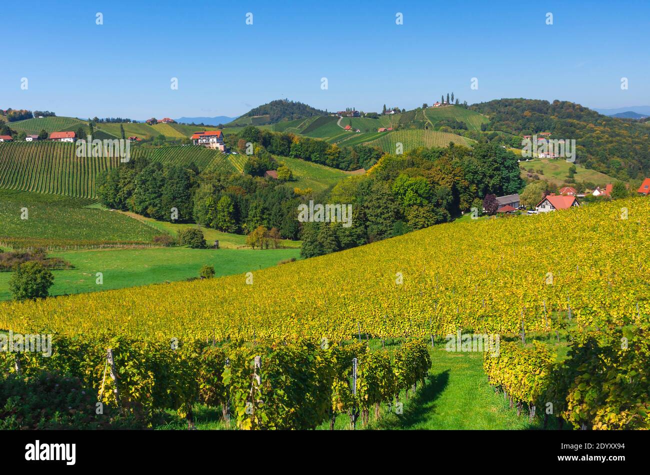 Vineyards along South Styrian Wine Road, a charming region on the ...
