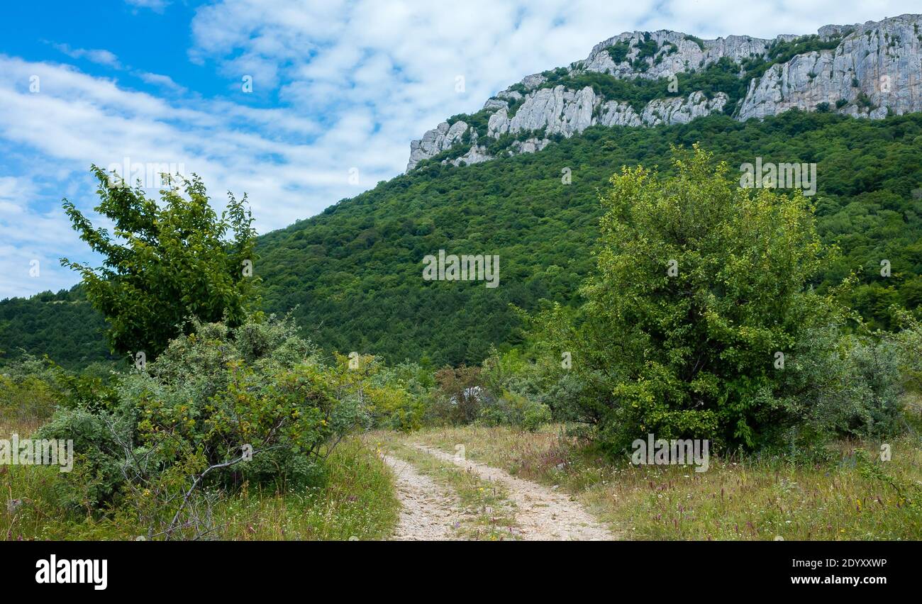 Forest Inaccessible Country road against the backdrop of inaccessible rocks surrounded by ...