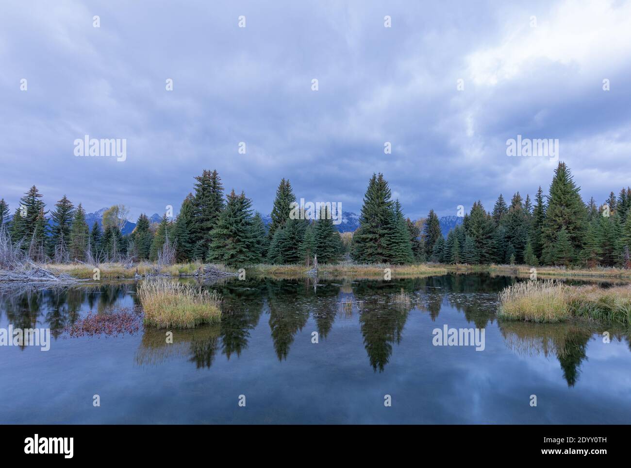 Scenic Reflection Landscape in the Tetons in Autumn Stock Photo - Alamy
