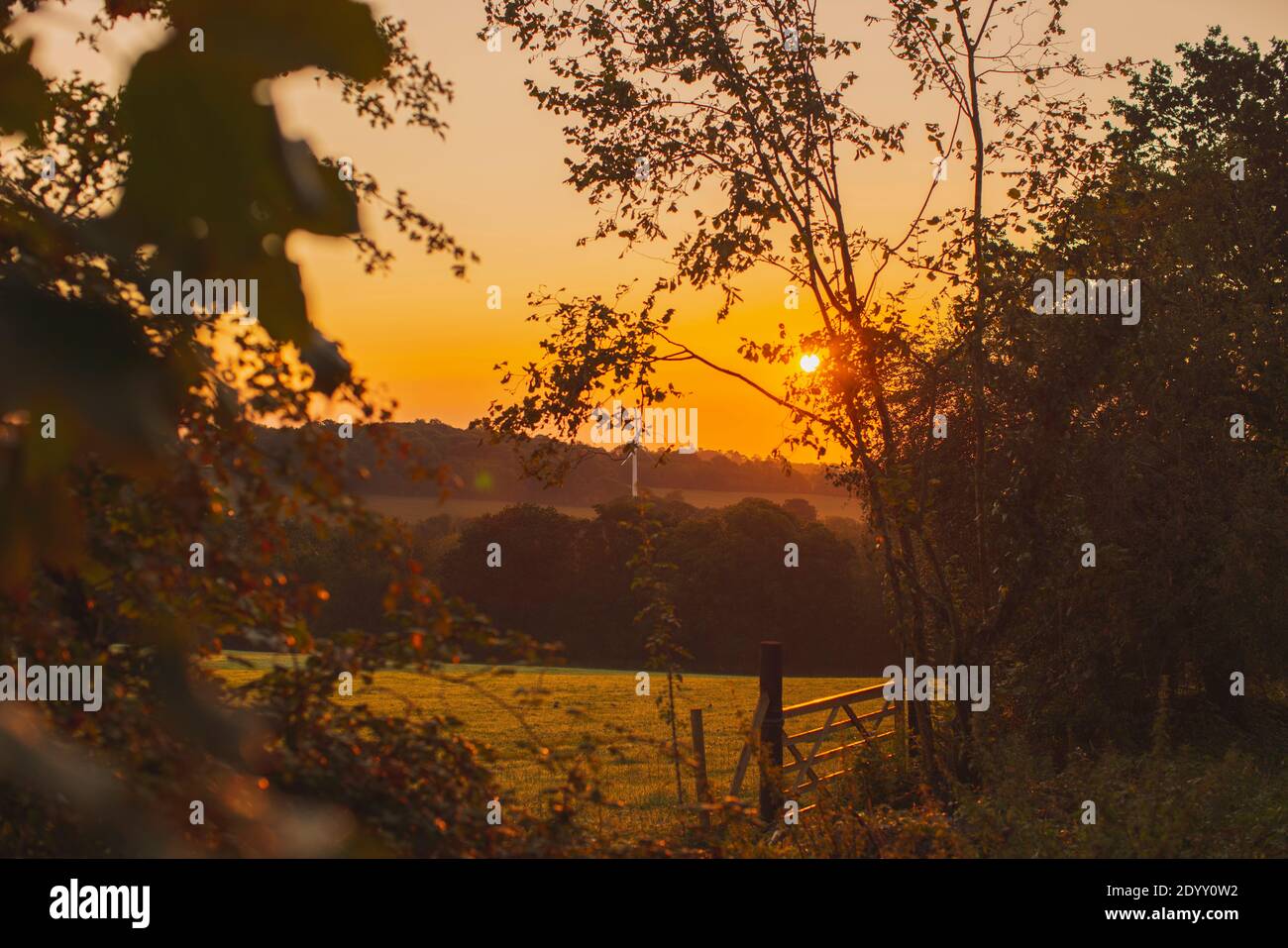 Sun rises over the fields of the Penhein Estate, Wales. Stock Photo