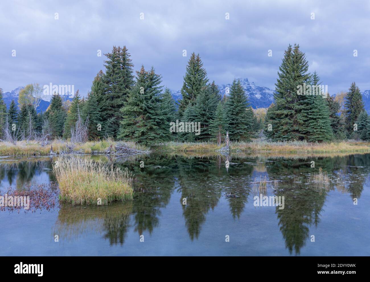 Scenic Reflection Landscape in the Tetons in Autumn Stock Photo - Alamy