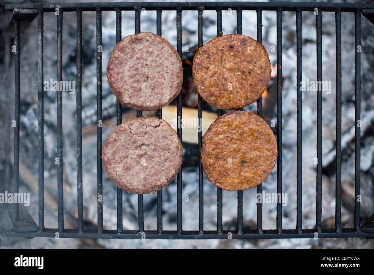 Meat beef burgers (L) and vegan plant based burgers (R) cook side by side on an open fire Stock Photo