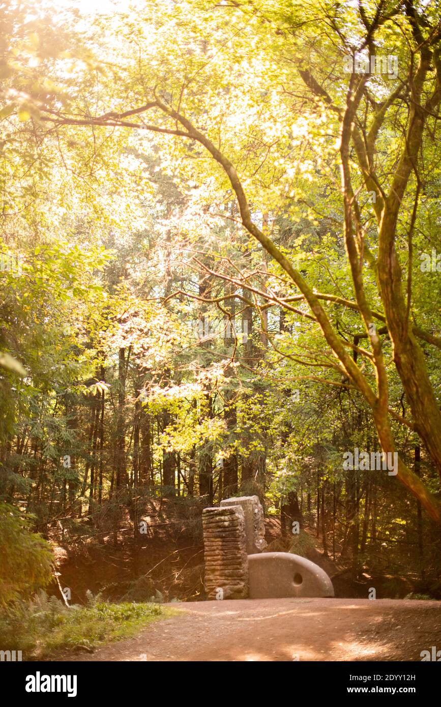 Artist Tim Lees' The Heart of the Stone in the Forest of Dean Sculpture Trail in Beechenhurst forest. Stock Photo