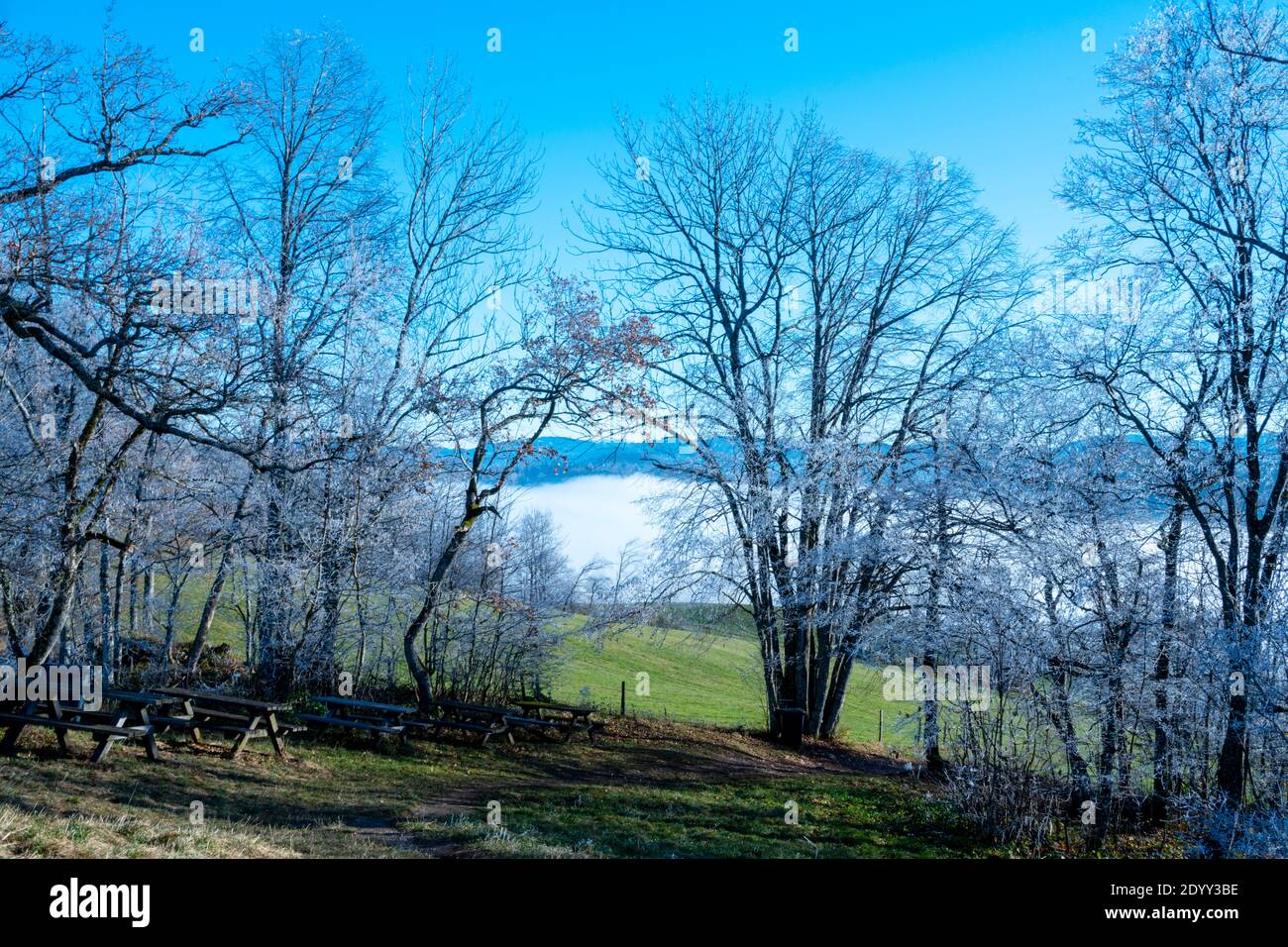 Österreich, Niederösterreich, Scheibbs, Bäume mit Raureif am Blassenstein Stock Photo