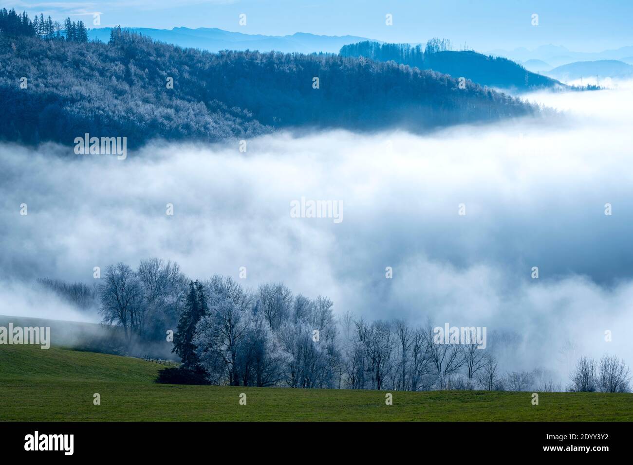 Österreich, Niederösterreich, Scheibbs, Landschaft am Blassenstein Stock Photo