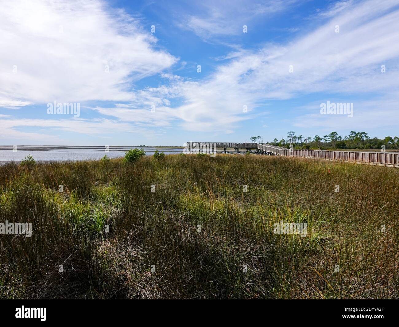 Board walk, pier, across salt marsh, at low tide, in the Shell Mound area of the Lower Suwannee National Refuge, Levy County, Florida, USA. Stock Photo