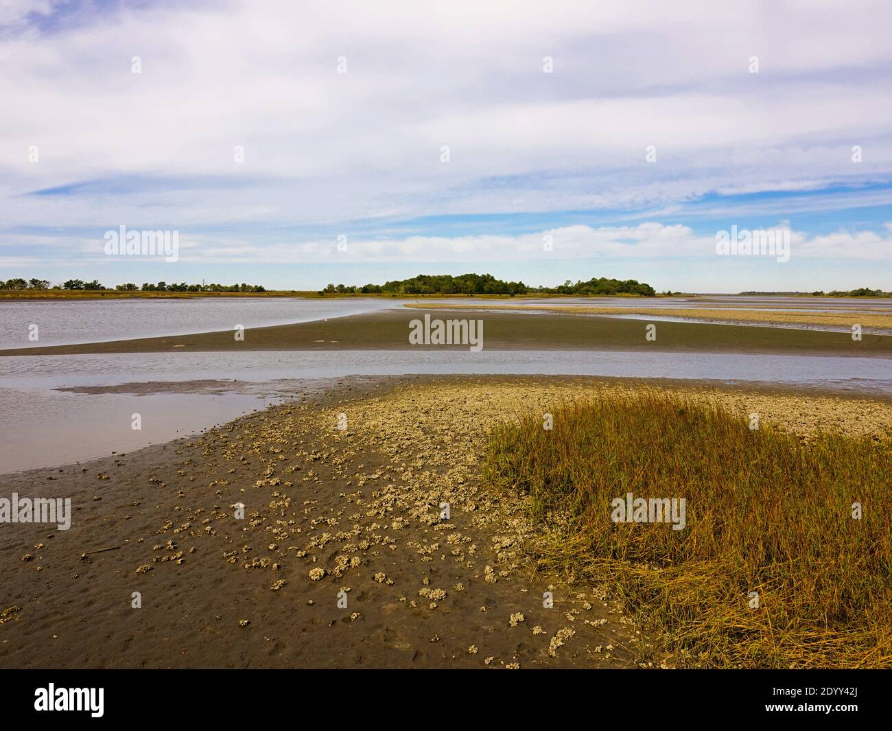 Low tide across the salt marshes in the Lower Suwannee National Wildlife Refuge, Levy County, Florida, USA. Stock Photo