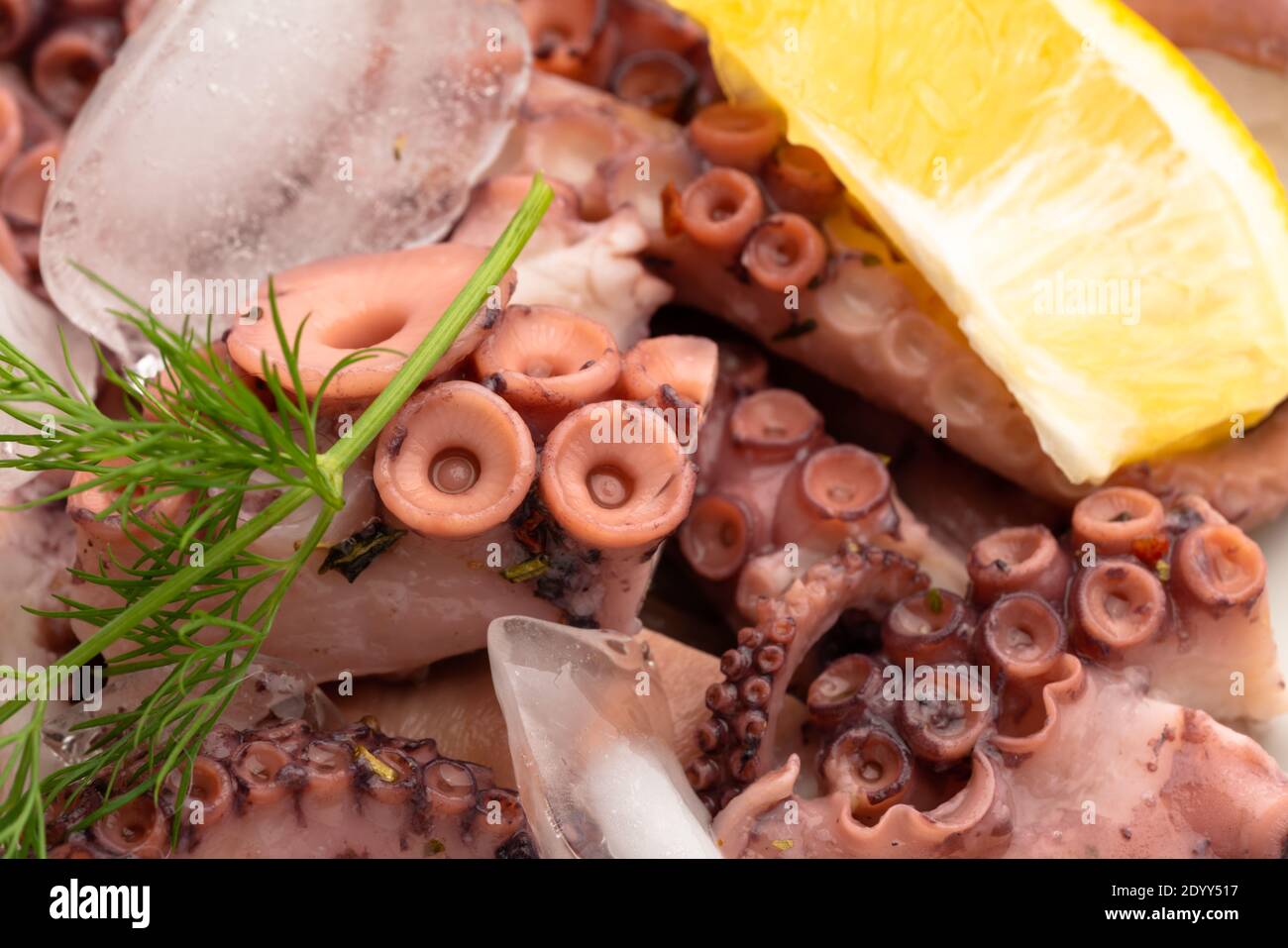 Fresh octopus salad with lemon and dill, ice cubes Stock Photo Alamy