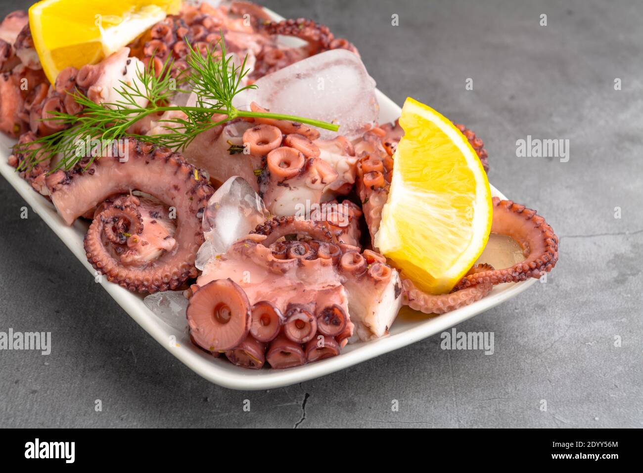 Fresh octopus salad with lemon and dill, ice cubes Stock Photo Alamy