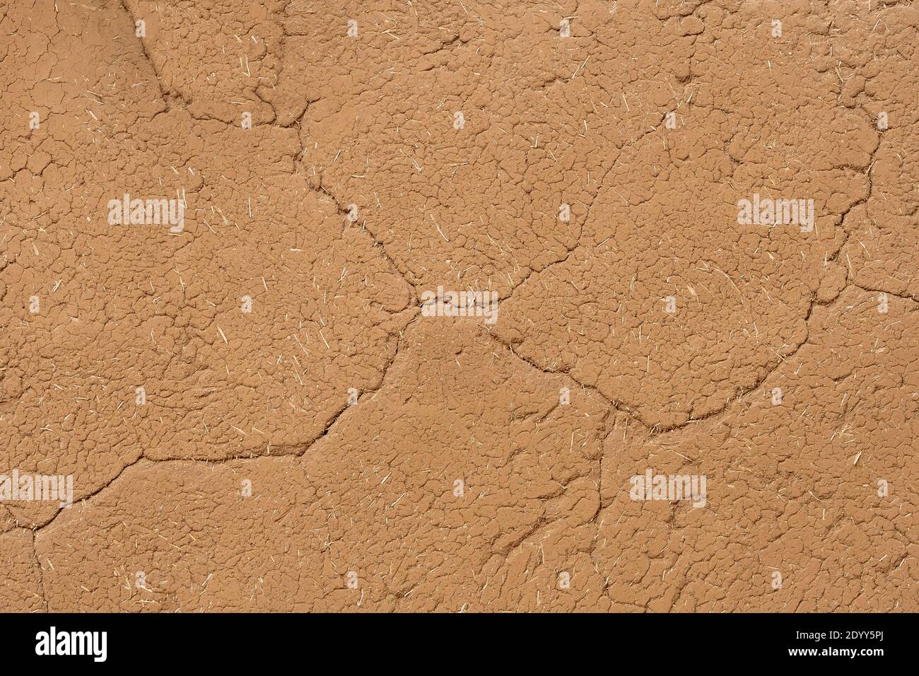 Graphic close up detail of an adobe mud and straw wall, with cracks. Taos Pueblo, New Mexico, USA Stock Photo