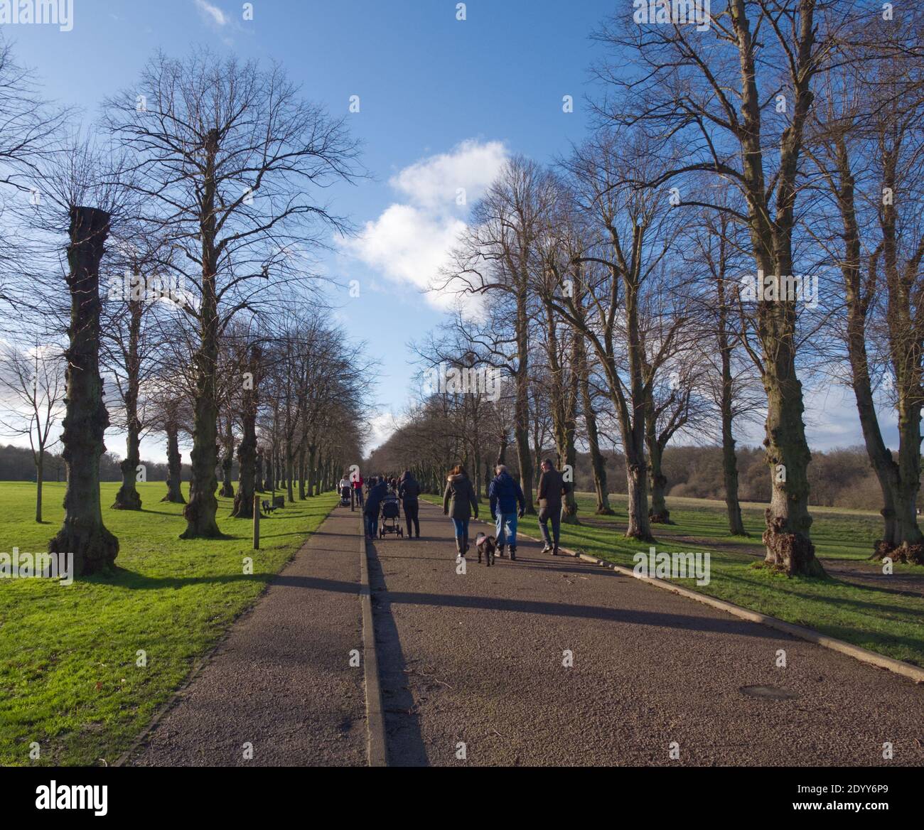 Cockfosters park hires stock photography and images Alamy