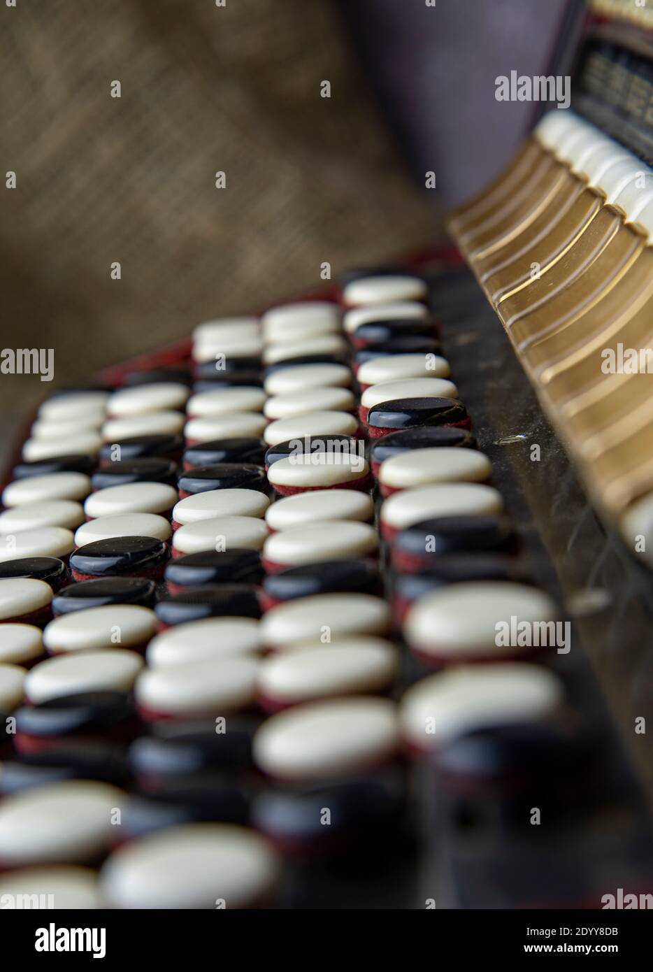 Buttons bayan closeup. Black and white keys of an accordion close up