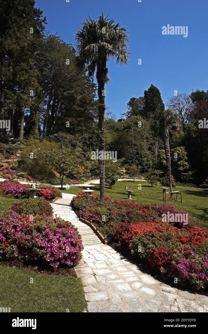 Irland /Powerscourt Estate/which has a very beautiful Japanese garden. Stock Photo