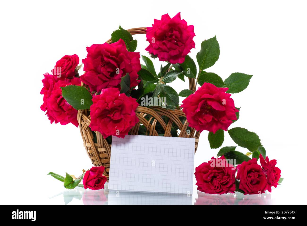 bouquet of beautiful red roses isolated on white background Stock Photo ...
