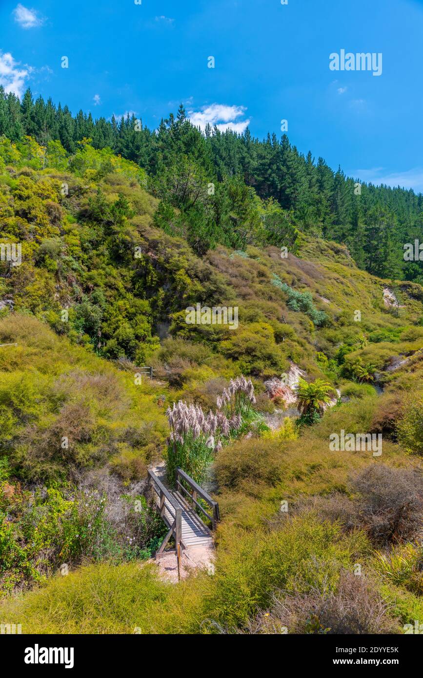 Geothermal landscape of Wairakei thermal valley in New Zealand Stock