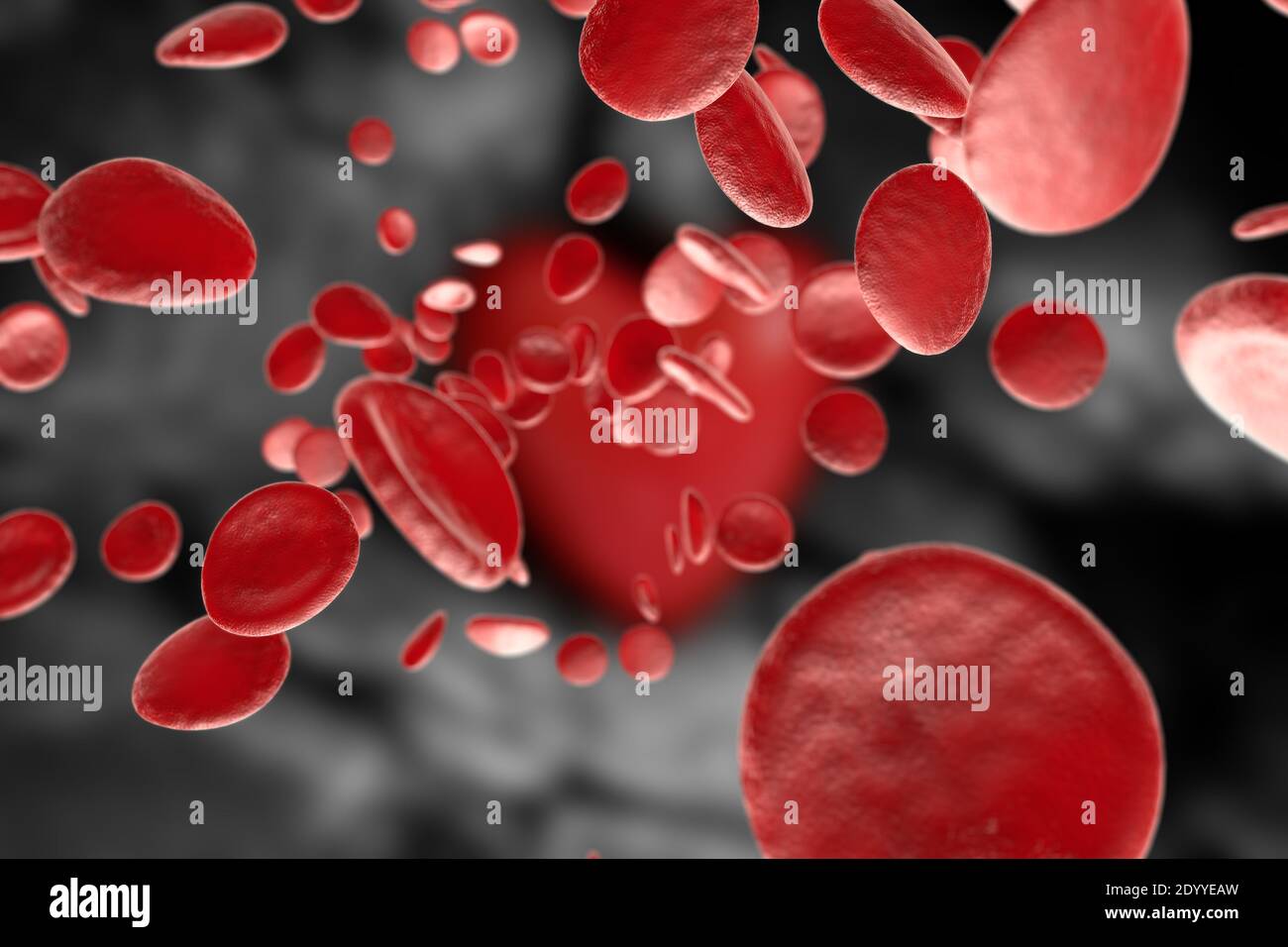 Heart shape surrounded by healthy red blood cells cardiovascular health ...