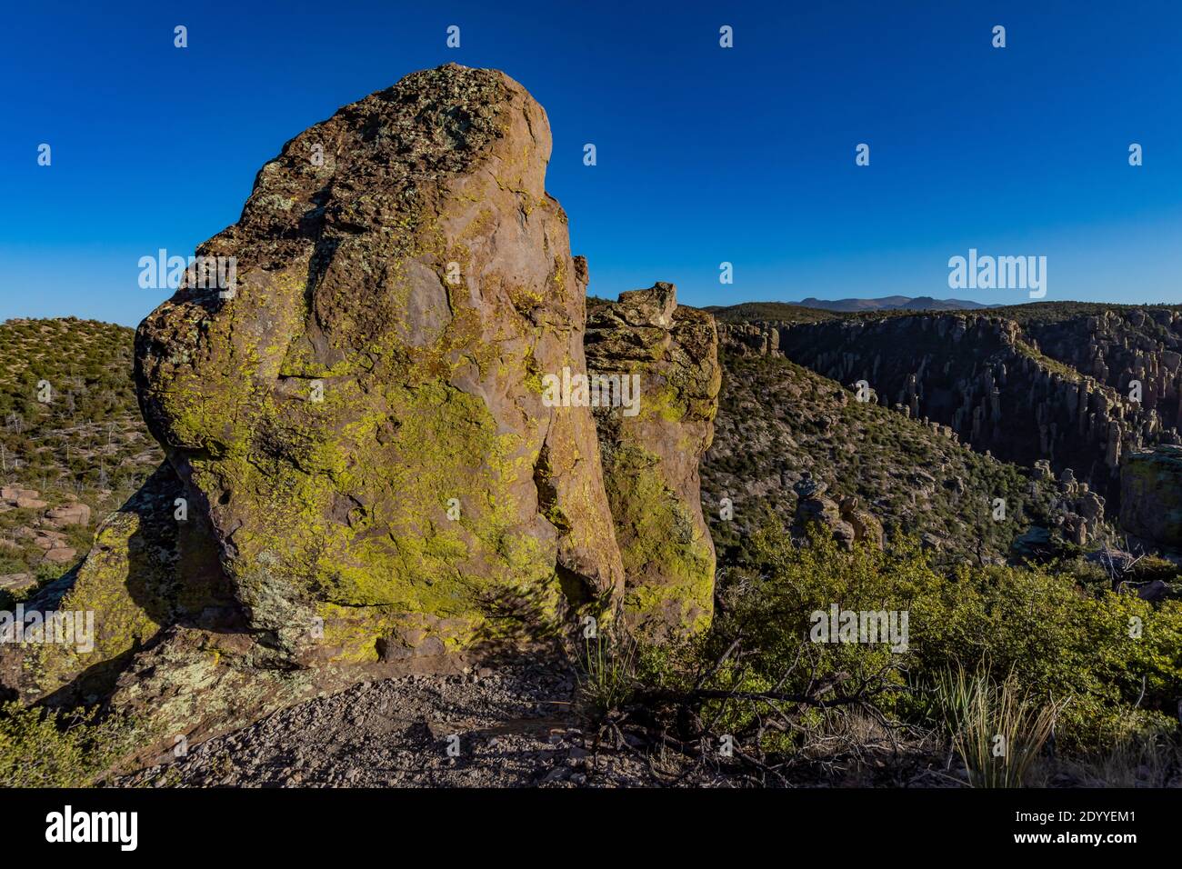 Rhyolite pinnacle along Massai Point Nature Trail in Chiricahua National Monument, Arizona, USA Stock Photo